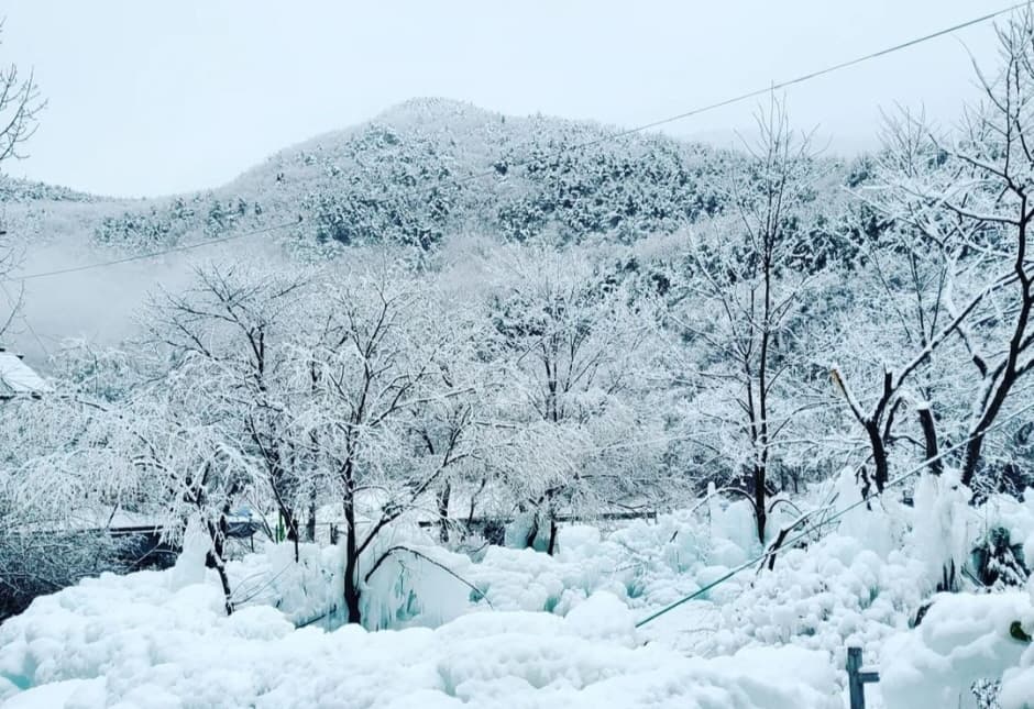 [Gyeongsangbuk-do] Small city near Busan One Day Winter Healing Tour