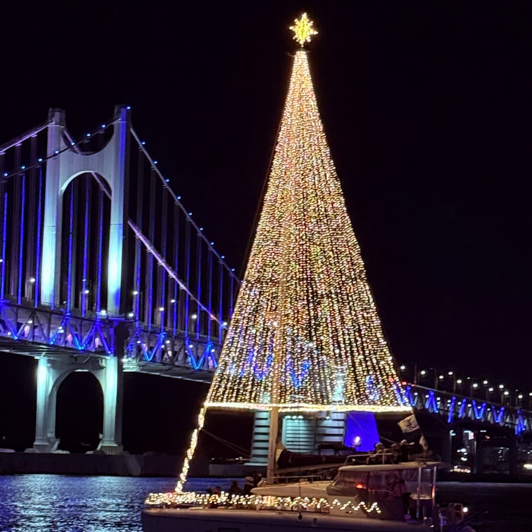 [Busan] Public/Private Yacht Tour