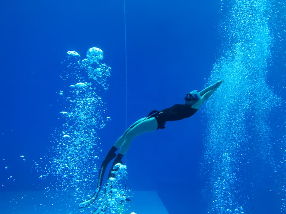 [Daejeon] Free Diving  One Day Experience