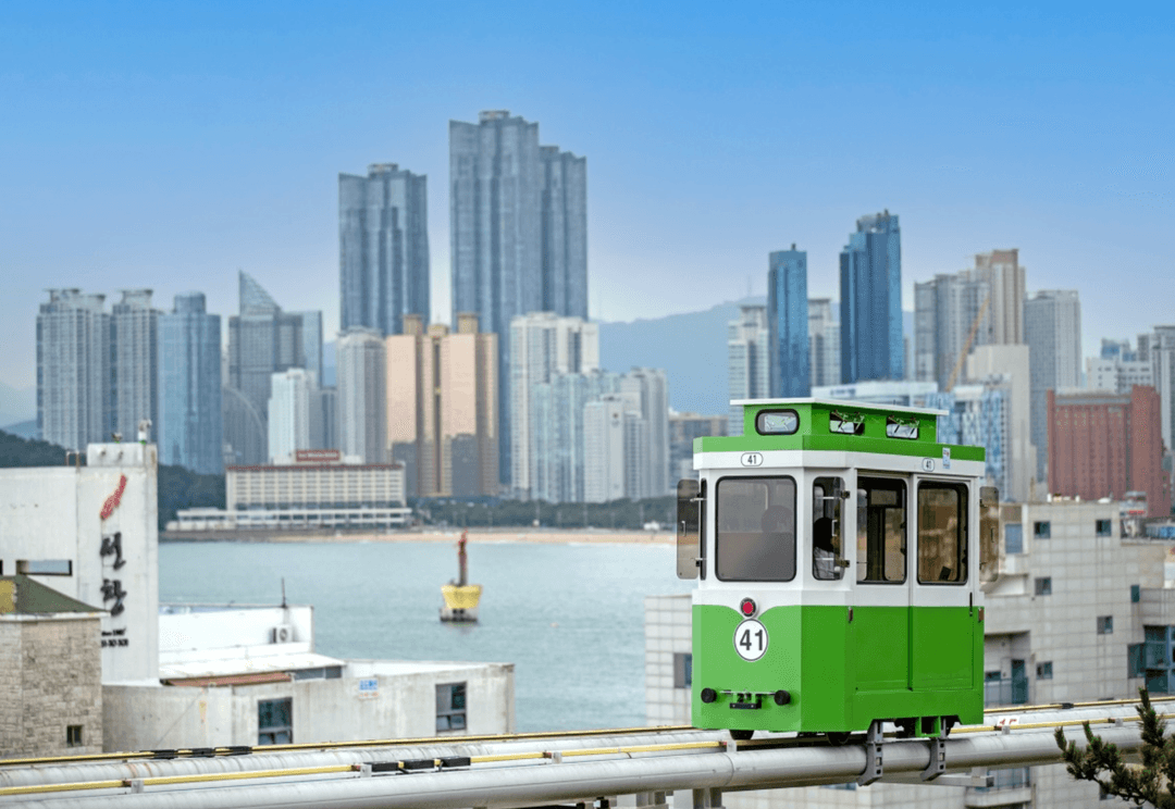 [Busan] Colors of Busan : Sky Capsule, Jagalchi Market & Night View with Street Food Tasting