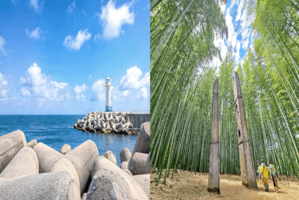 [Busan] The Essential Busan : Coastal Views, Local Markets & Culture Tour