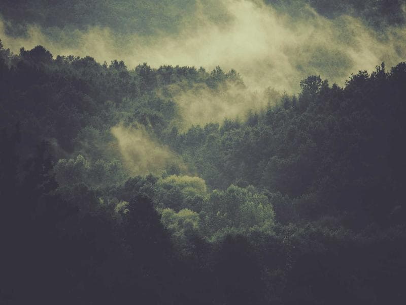 Seoraksan National Park