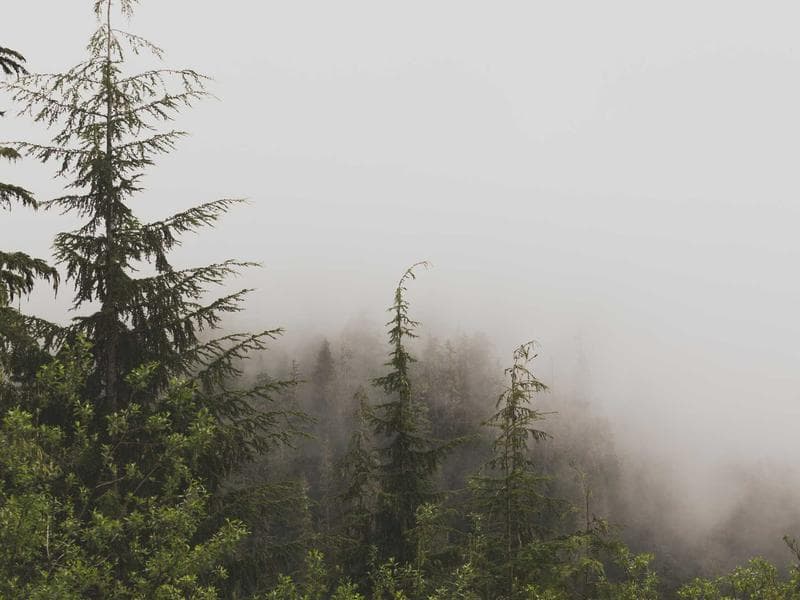 Odaesan National Park