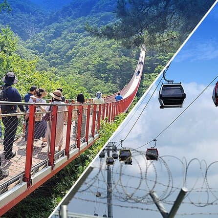 DMZ + Mt. Gamak Suspension Bridge